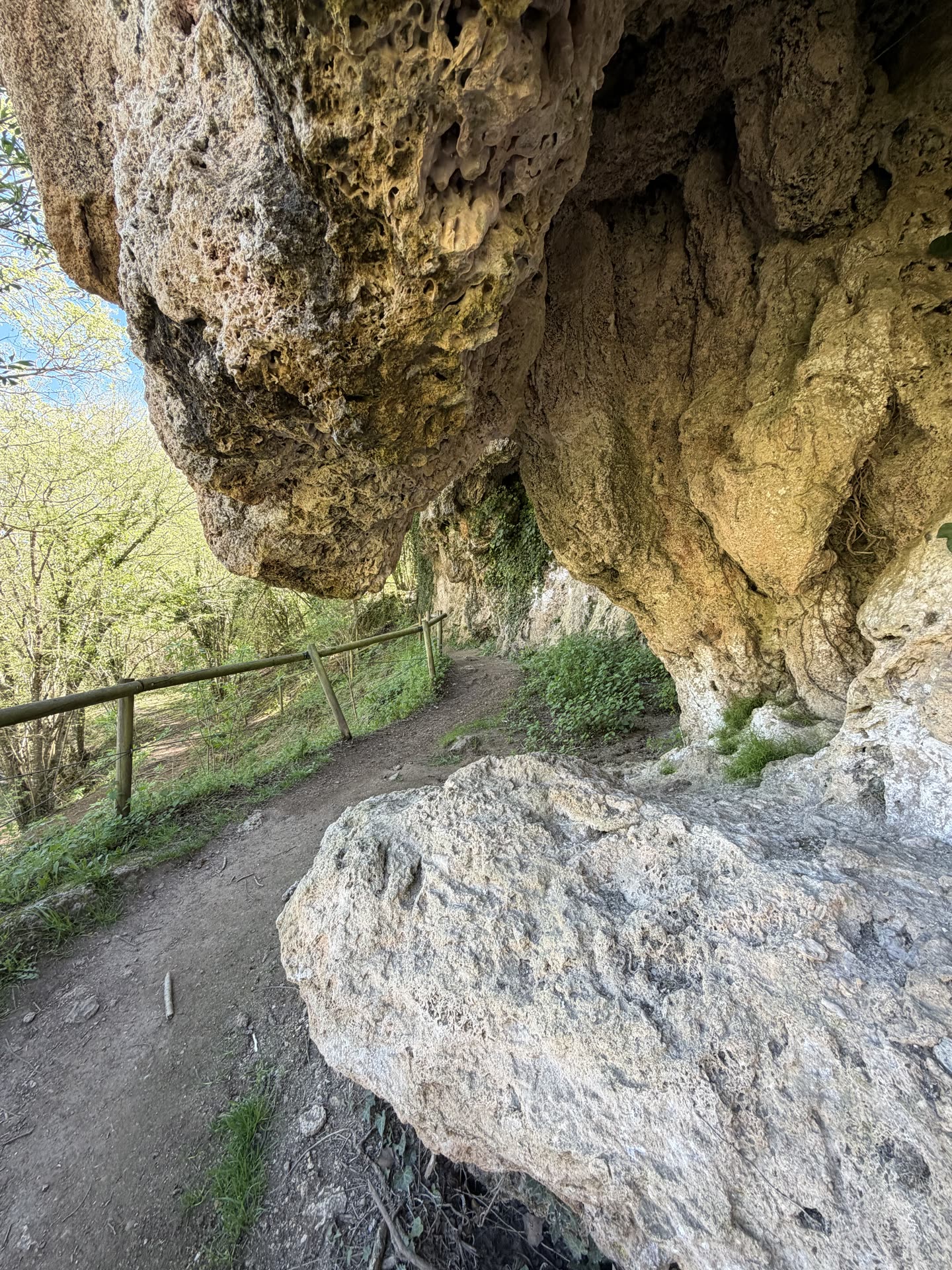 Font de la Tosca 10