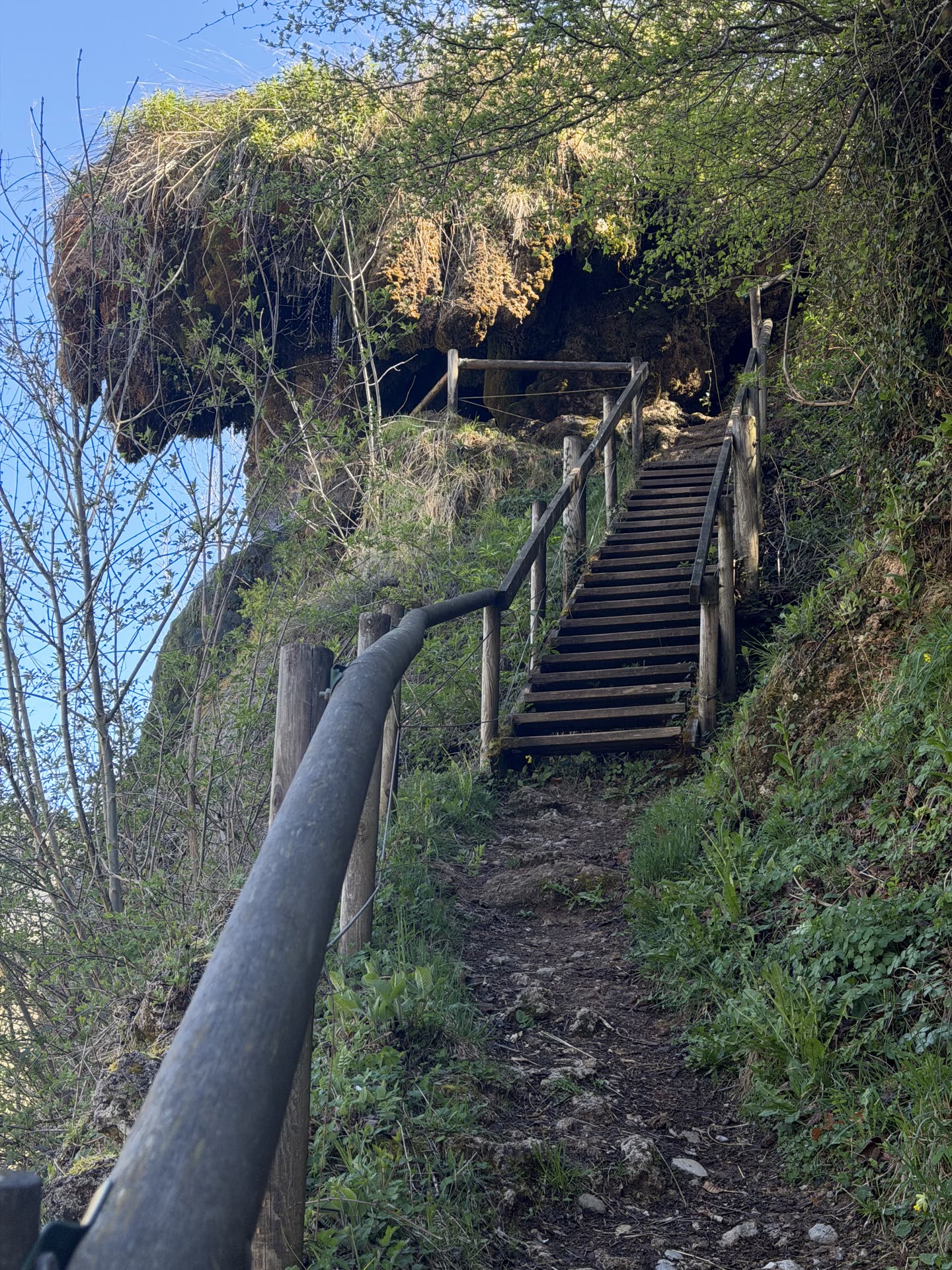Font de la Tosca 11