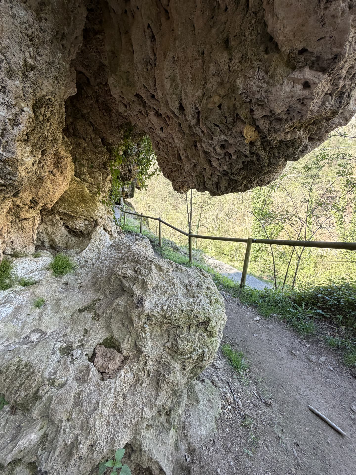Font de la Tosca 6