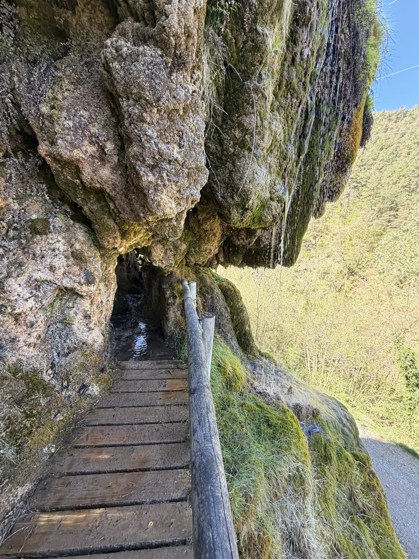 Font de la Tosca 8
