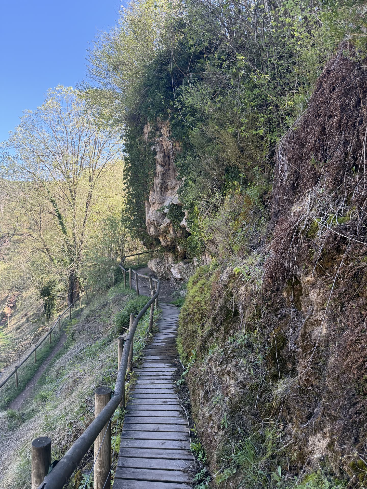 Font de la Tosca 9