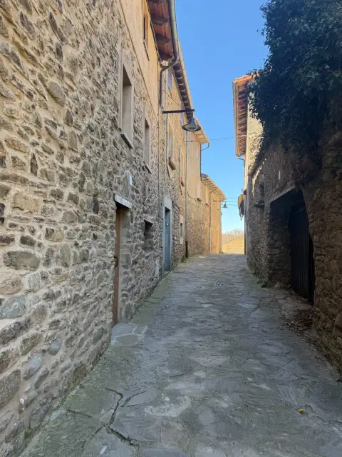 Nucli antic 12