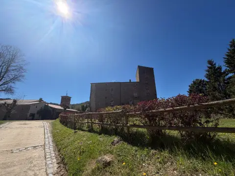 Nucli antic 13